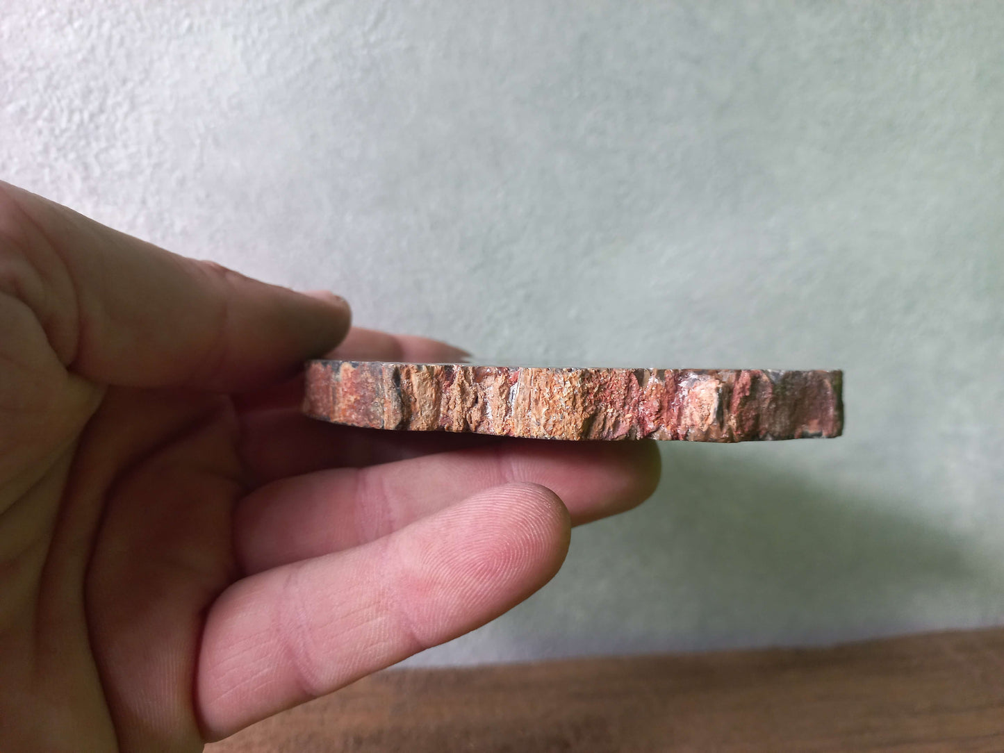 Versteend hout schijfje