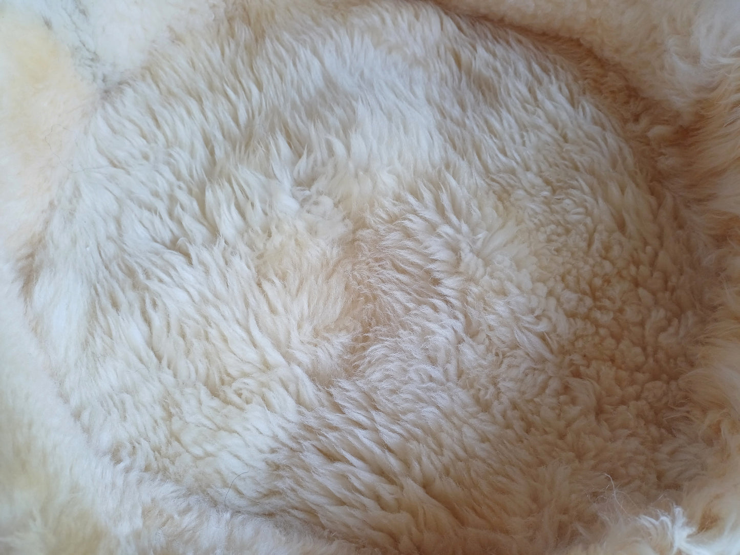 Schapenvachtmand 50cm