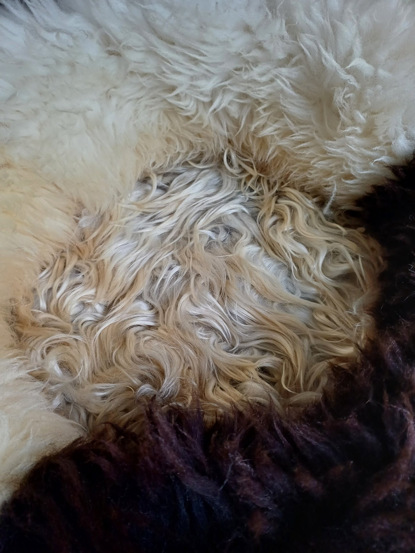 Schapenvachtmand 50cm