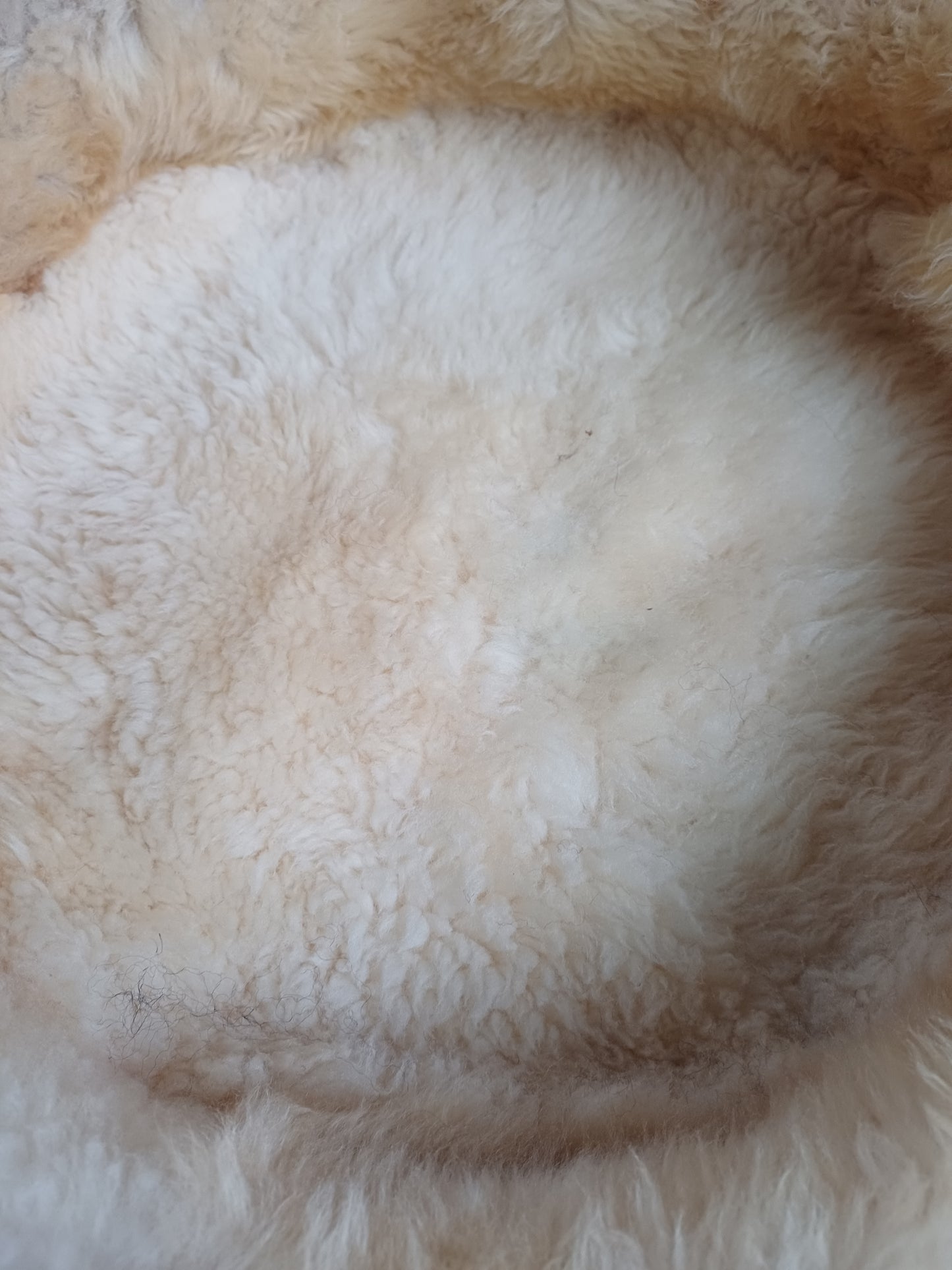 Schapenvachtmand 50cm