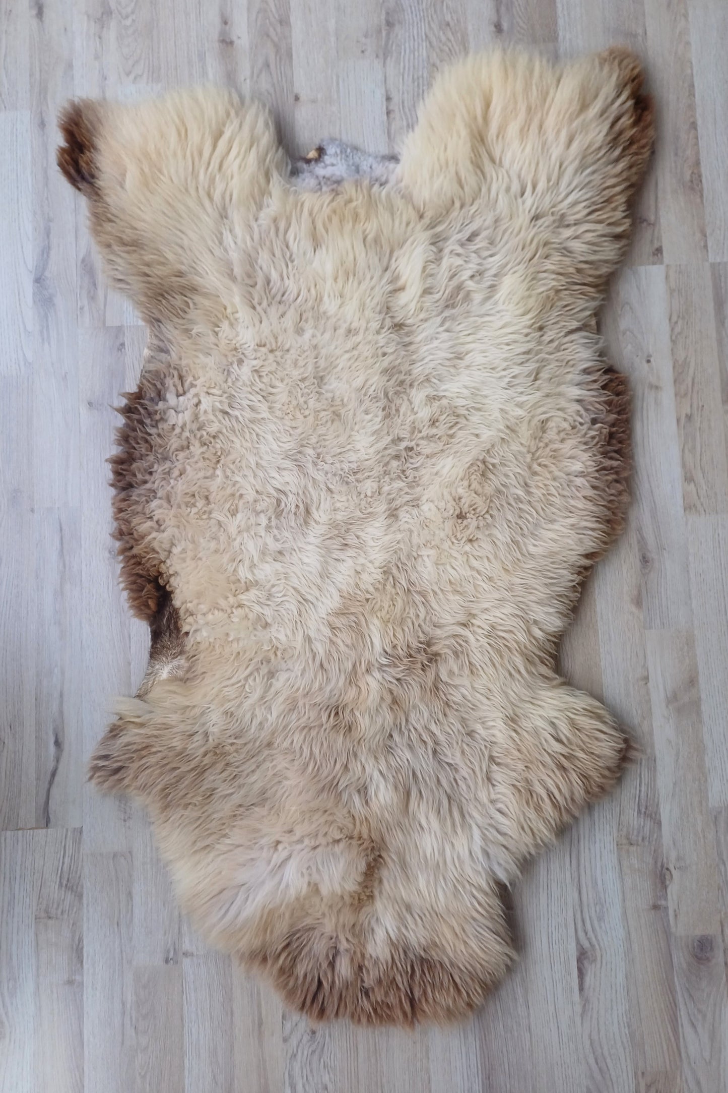 Engelse schapenvacht XL