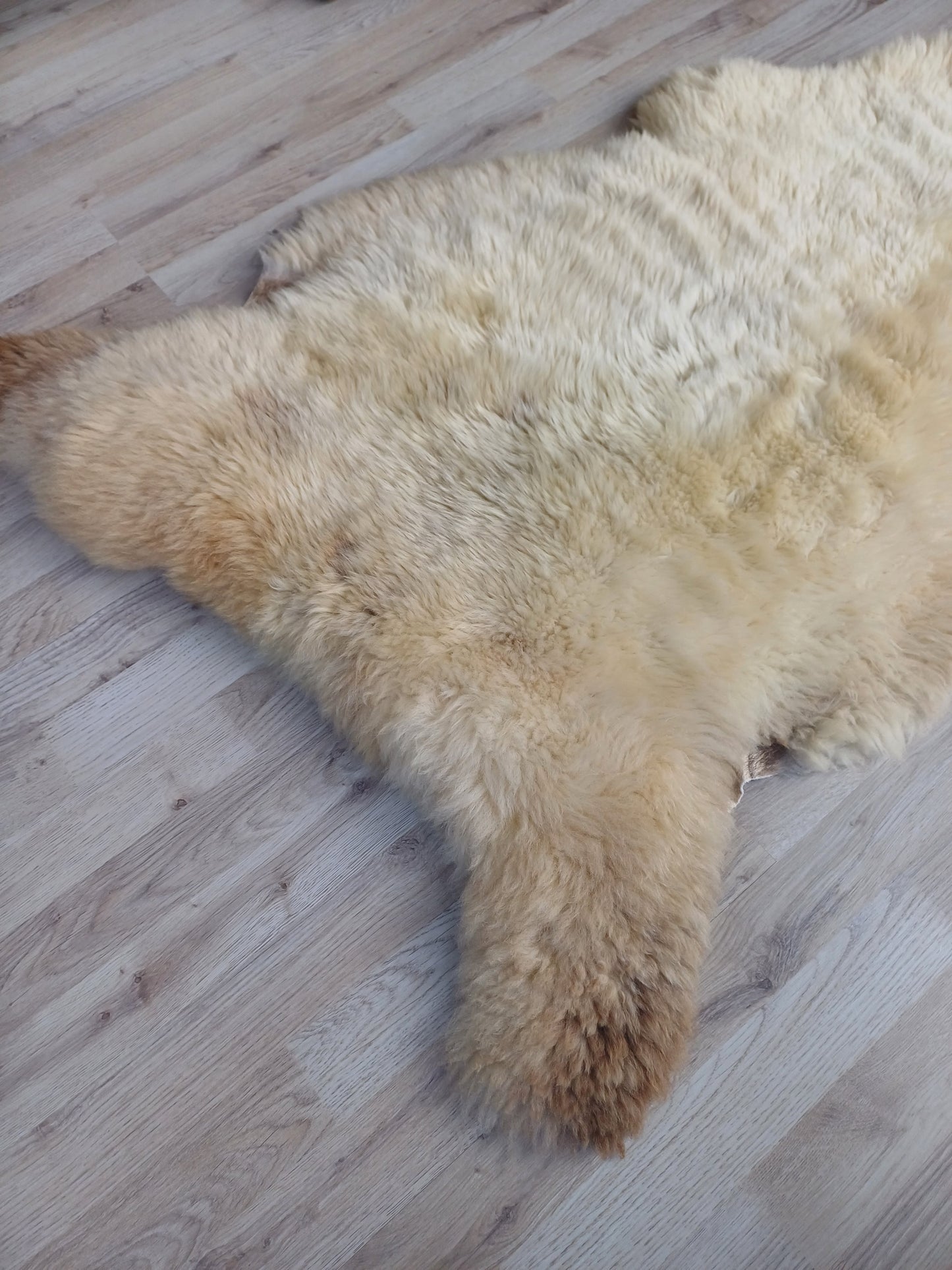Engelse schapenvacht XL