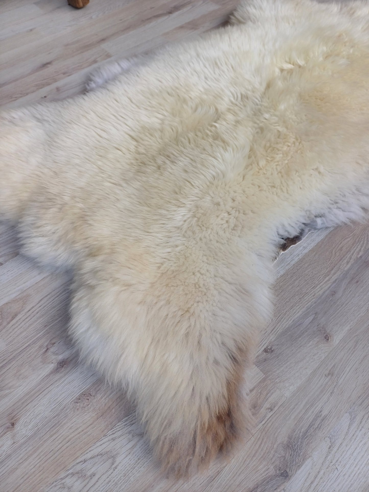 Engelse schapenvacht XXL