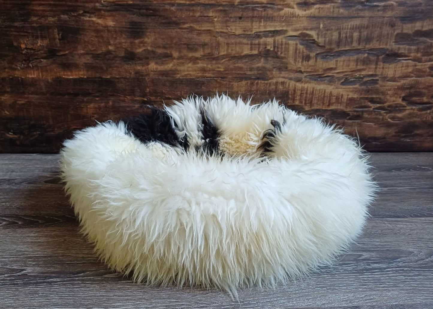 Schapenvachtmand 50cm