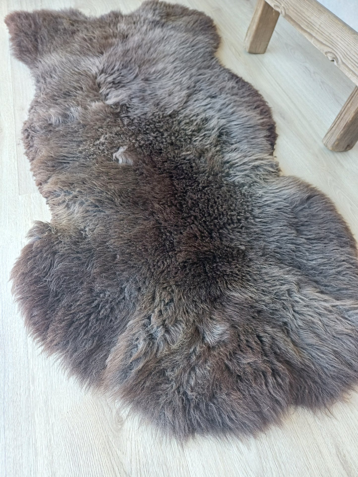 Hollandse vacht XL