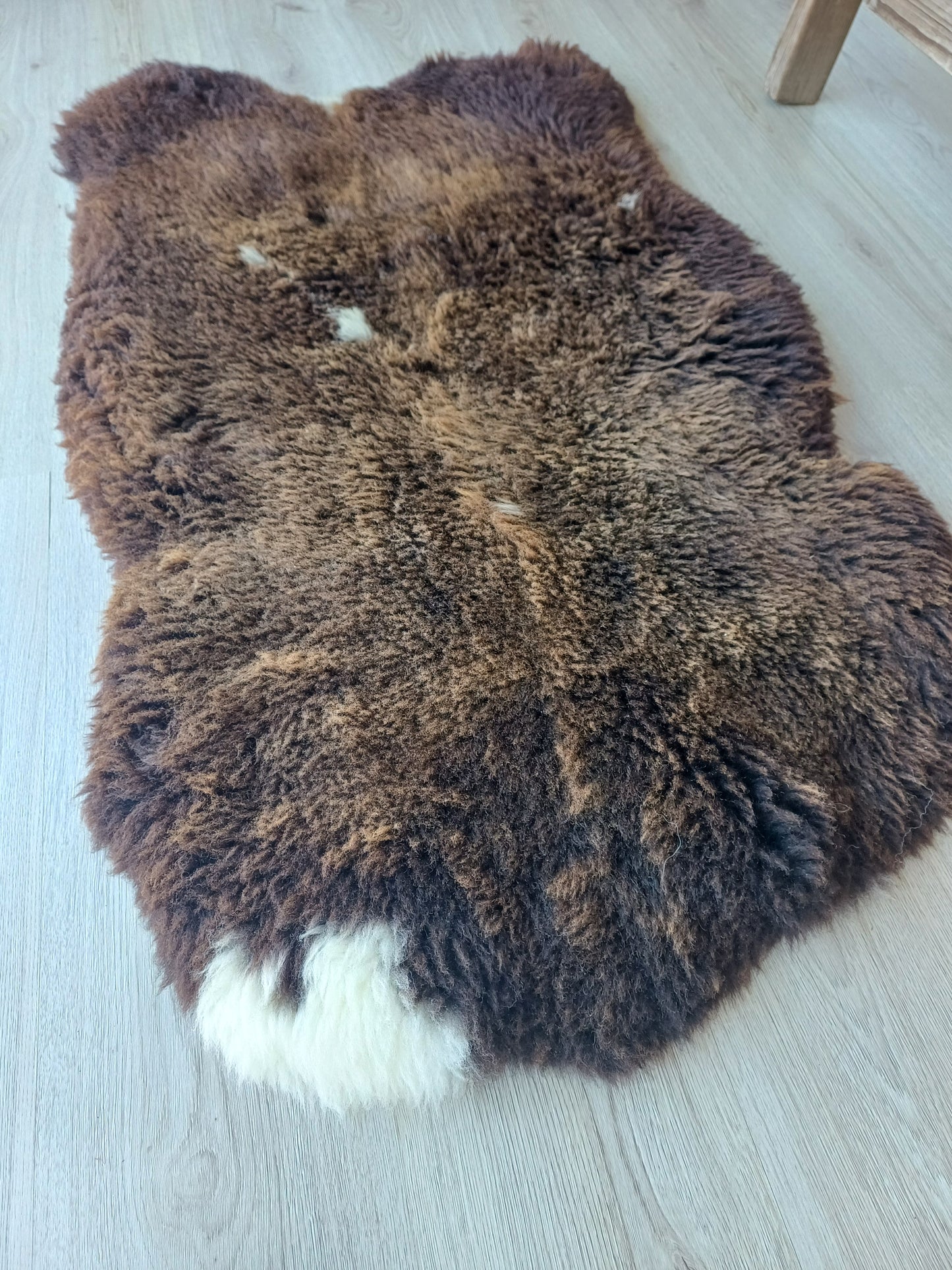 Hollandse vacht XL