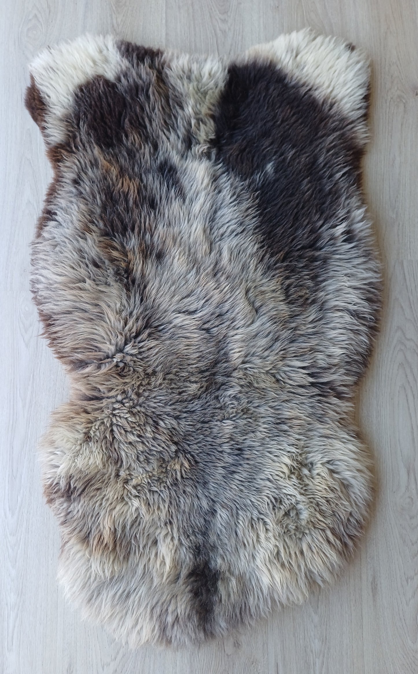 Hollandse vacht XL