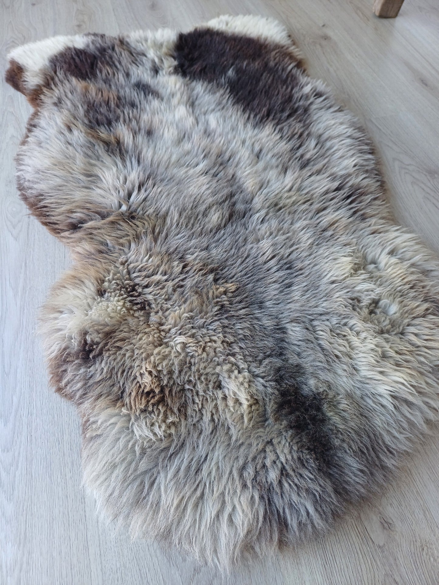 Hollandse vacht XL