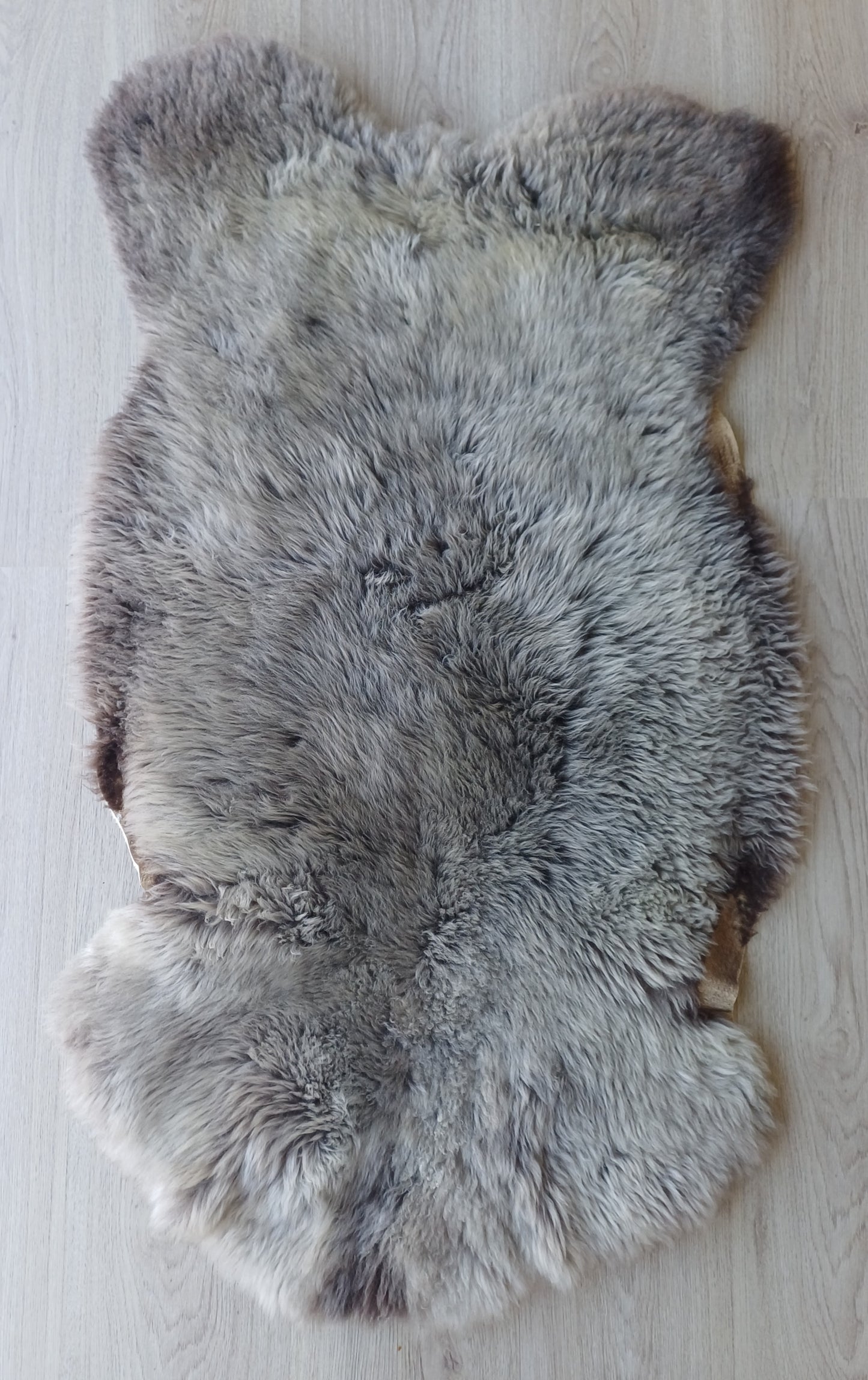 Hollandse vacht XL