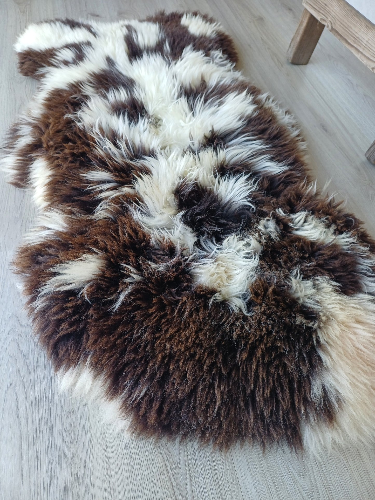 Hollandse vacht XL