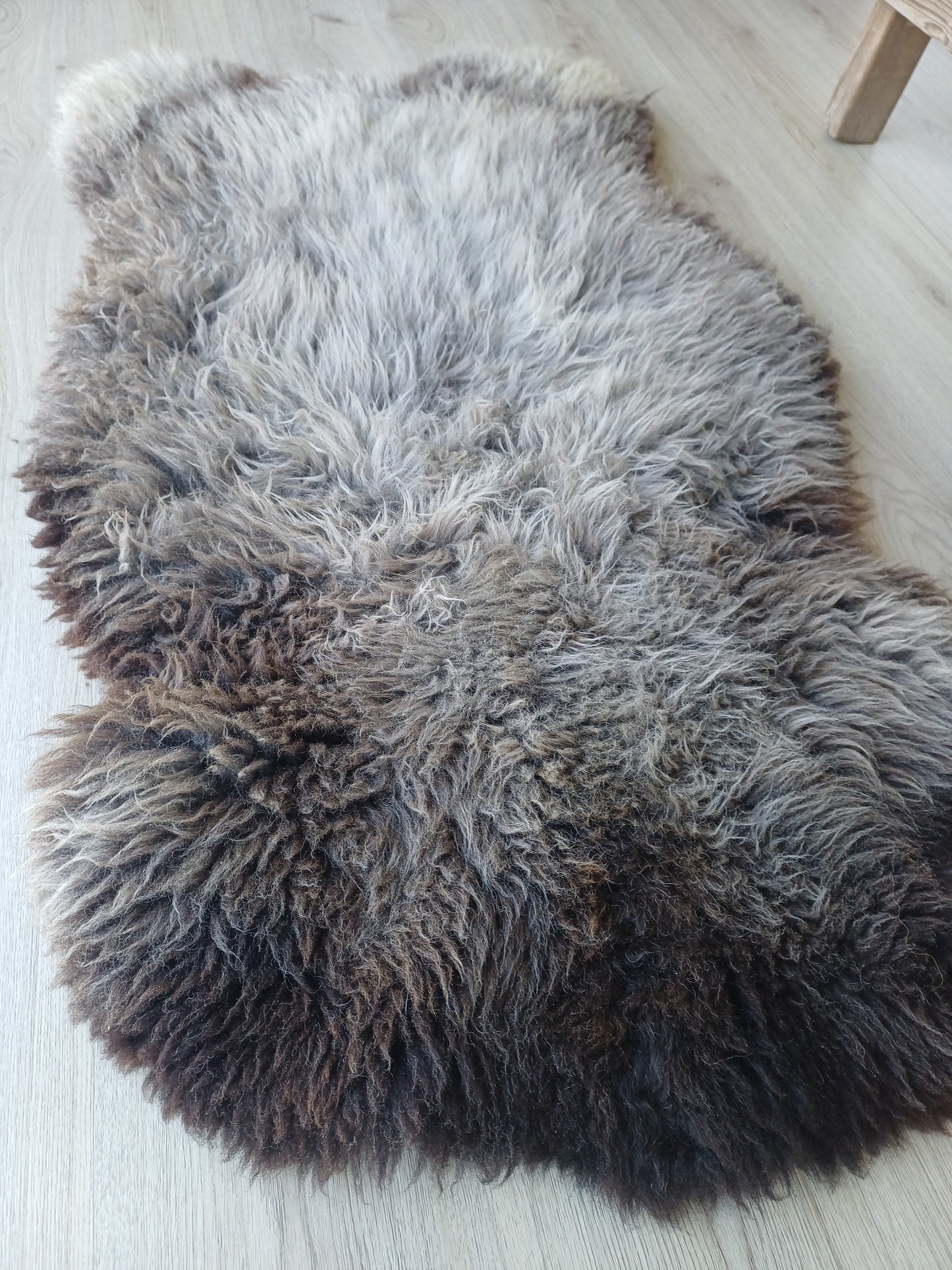 Hollandse vacht XL