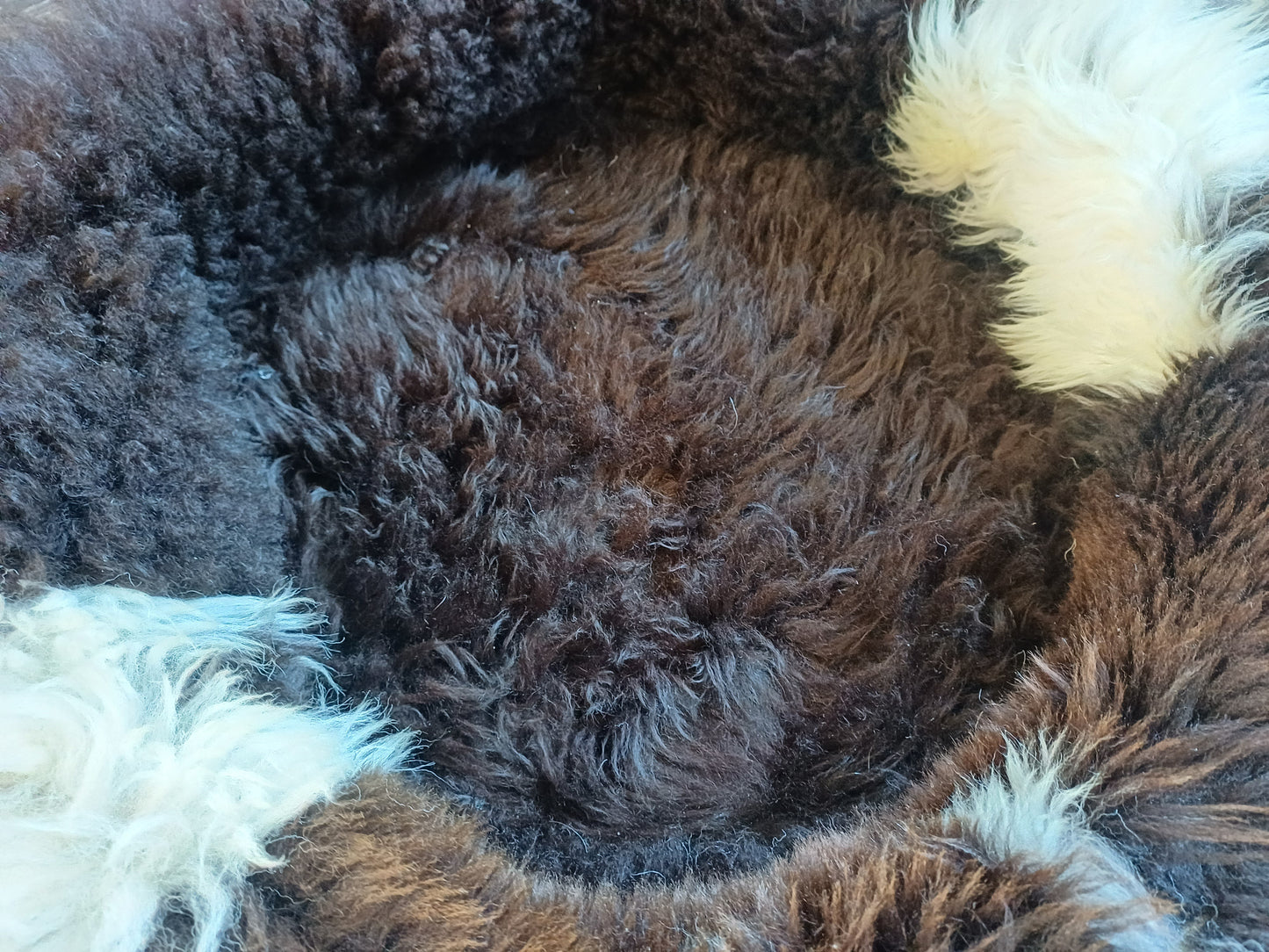 Schapenvachtmand 50cm