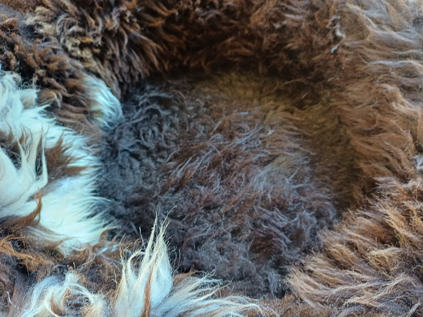 Schapenvachtmand 50cm