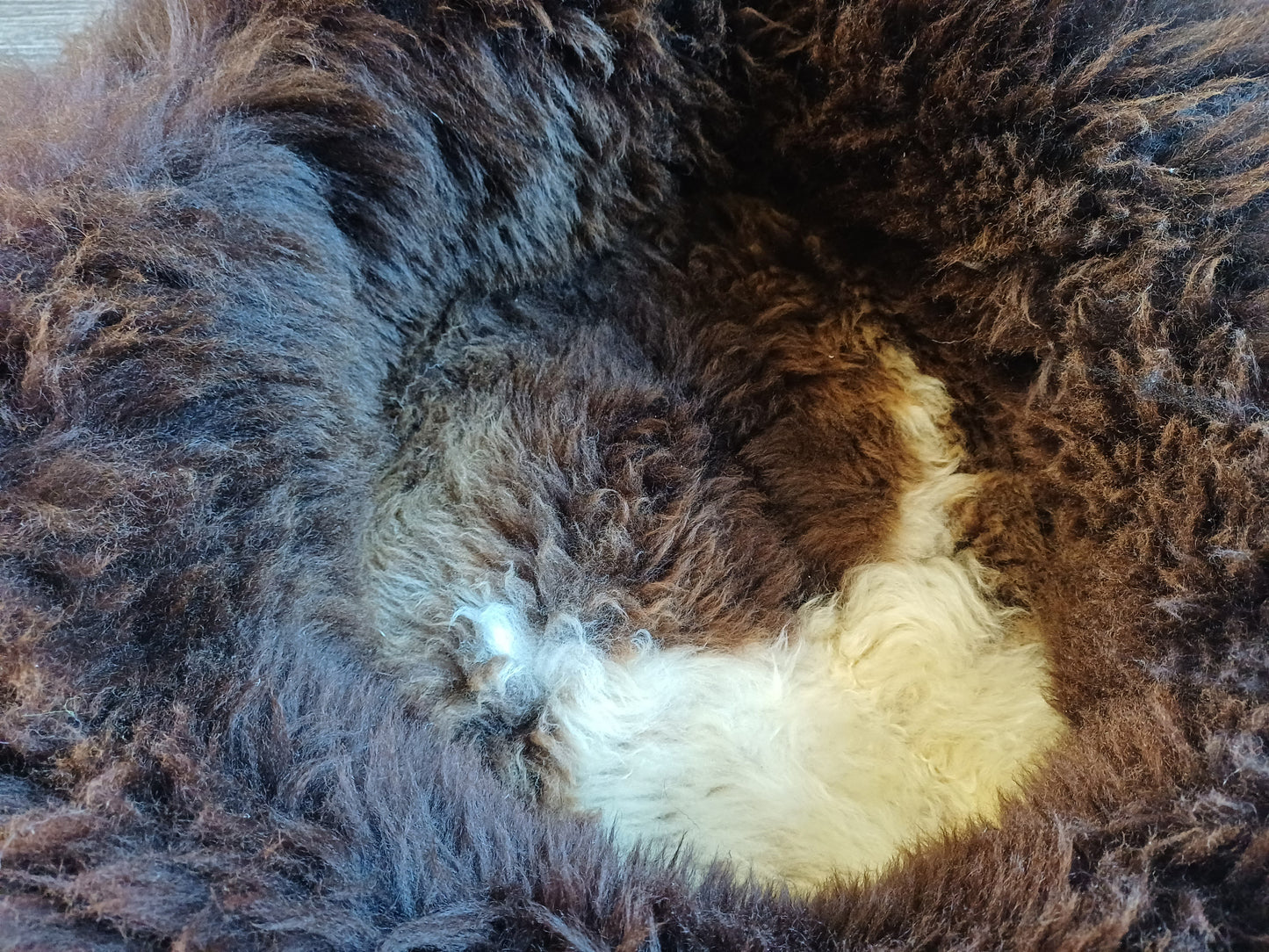 Schapenvachtmand 50cm