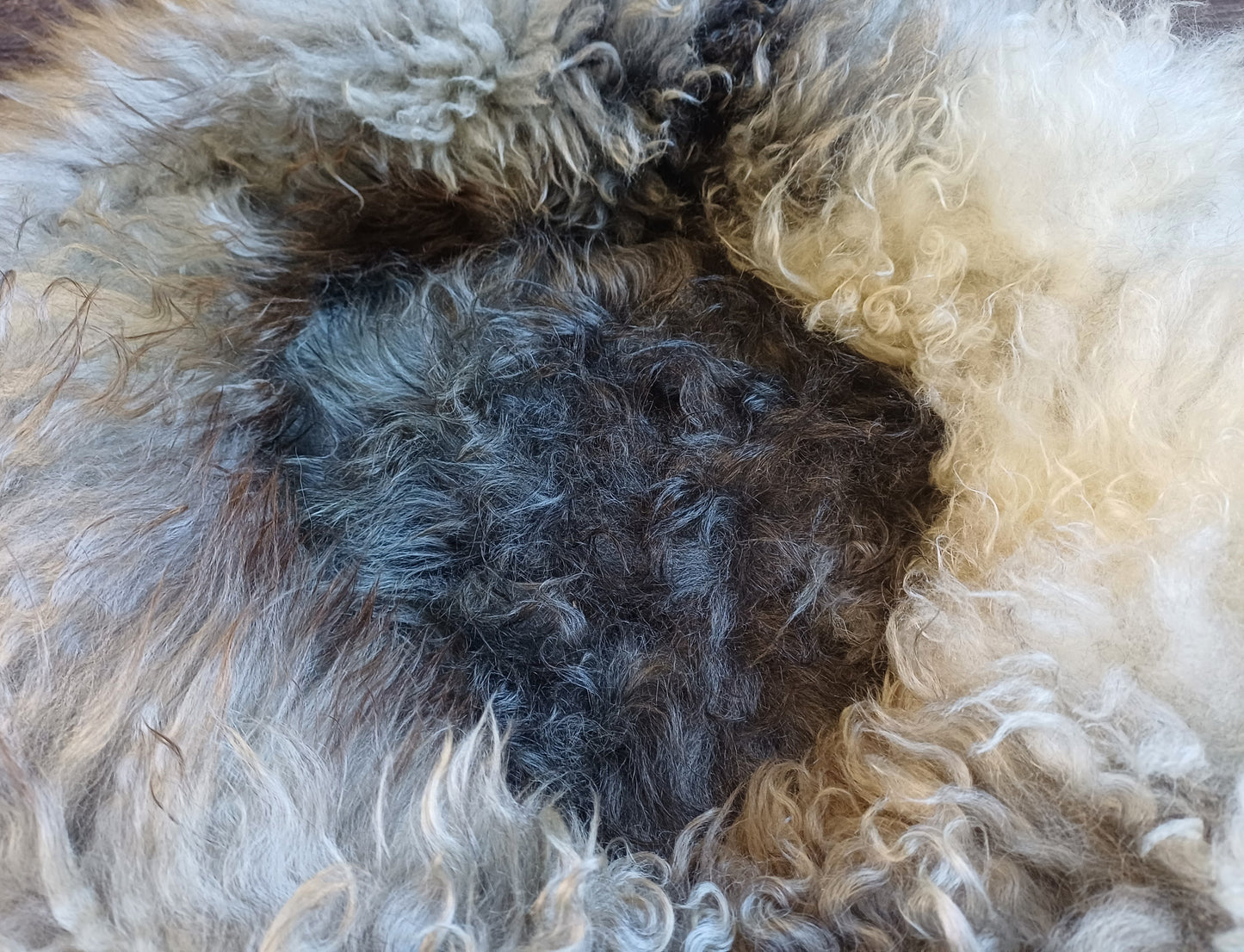 Schapenvachtmand 50cm "Gotland"