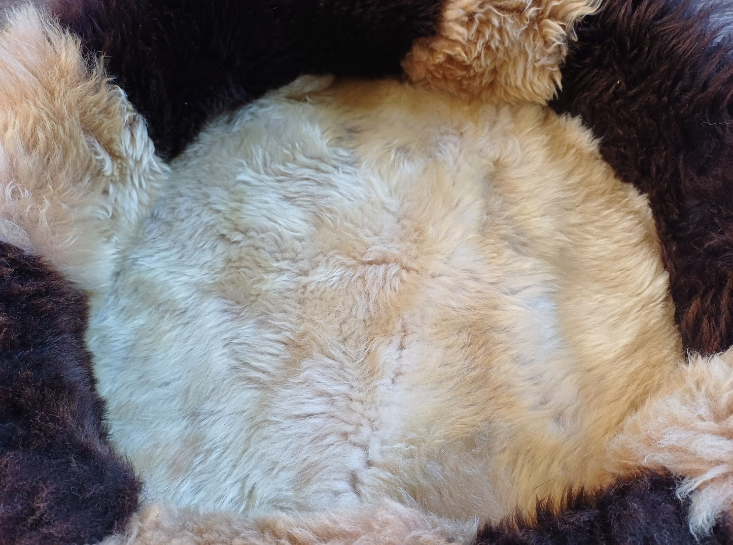 Schapenvachtmand 50cm