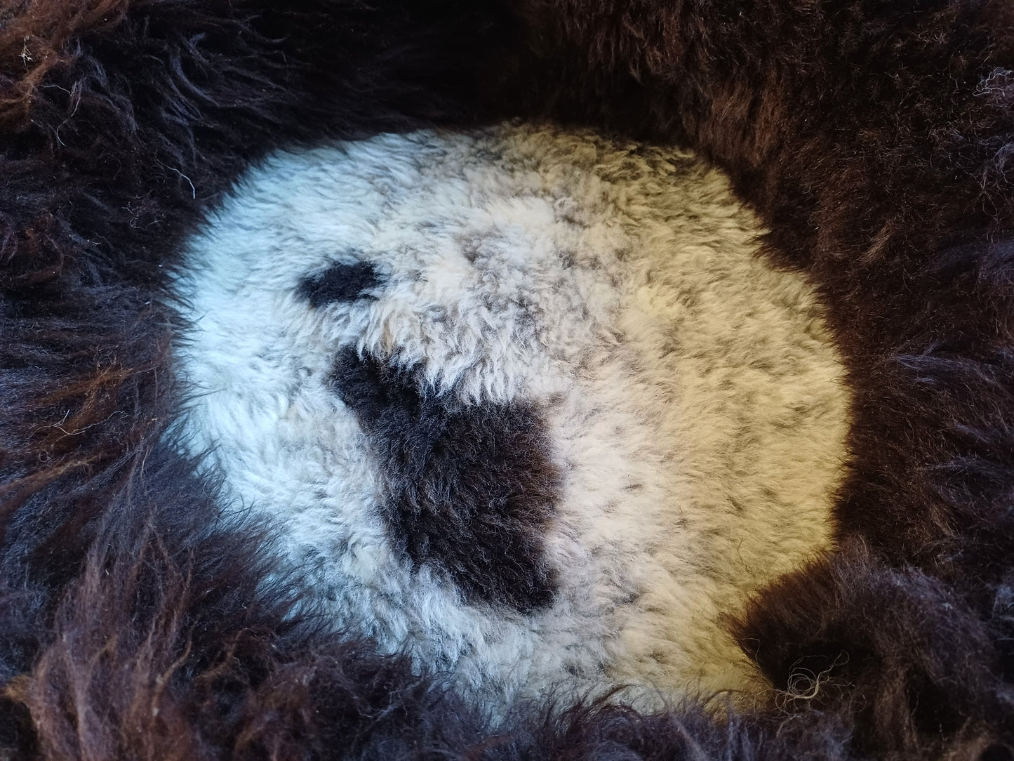 Schapenvachtmand 50cm