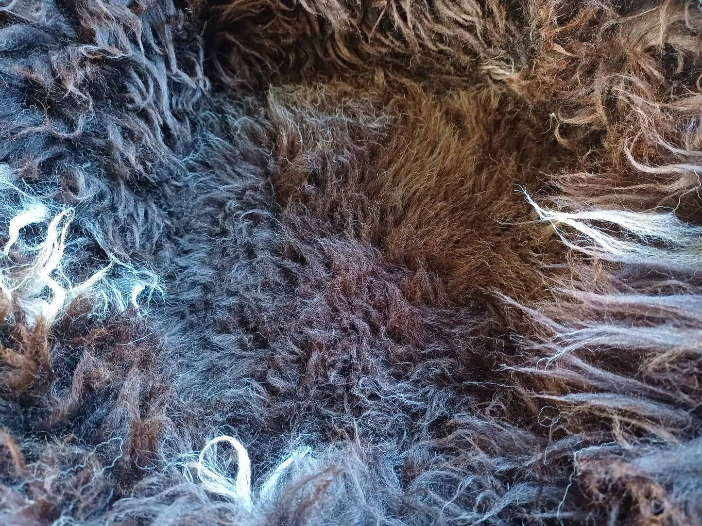 Schapenvachtmand 50cm