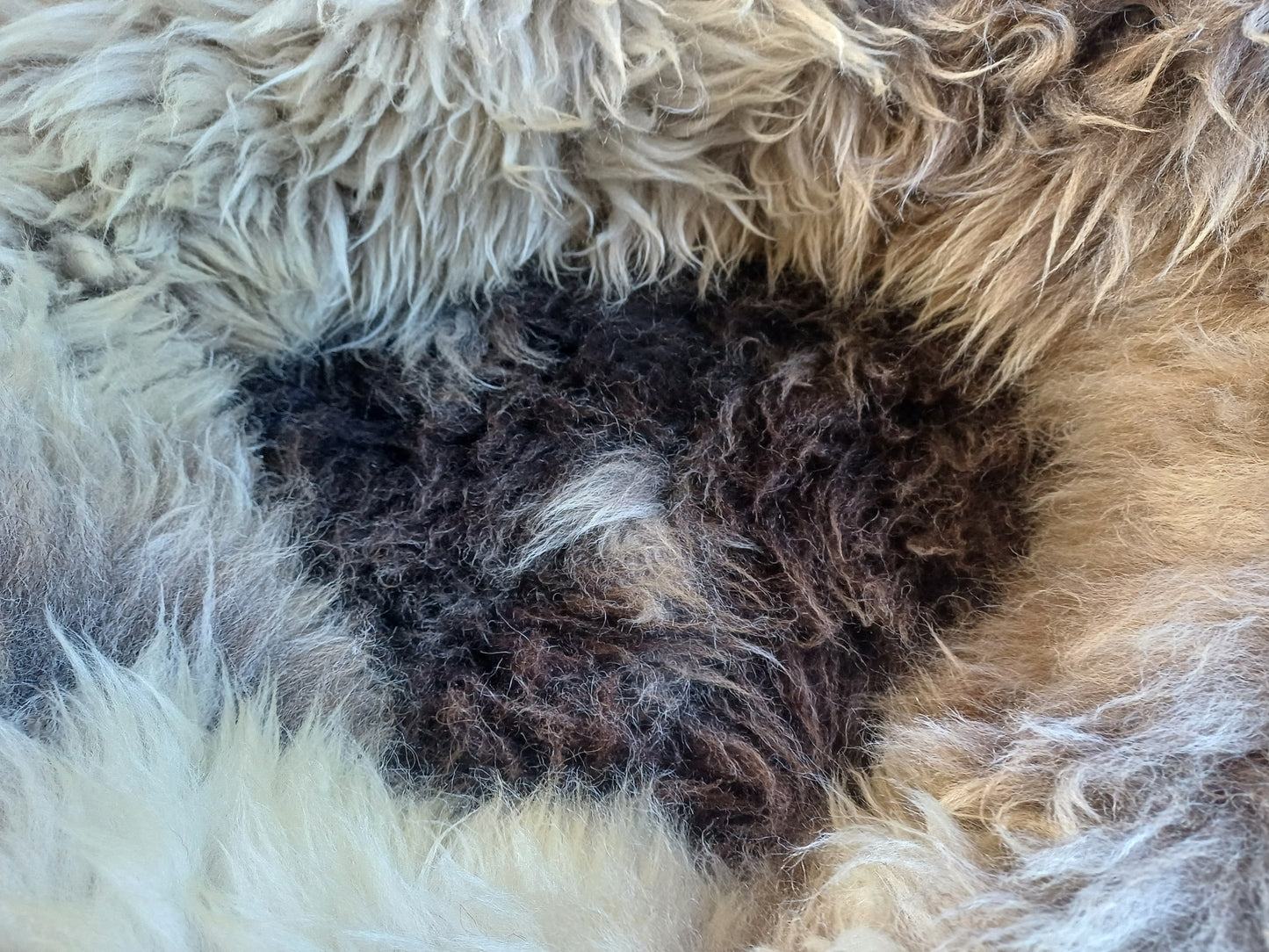 Schapenvachtmand 50cm