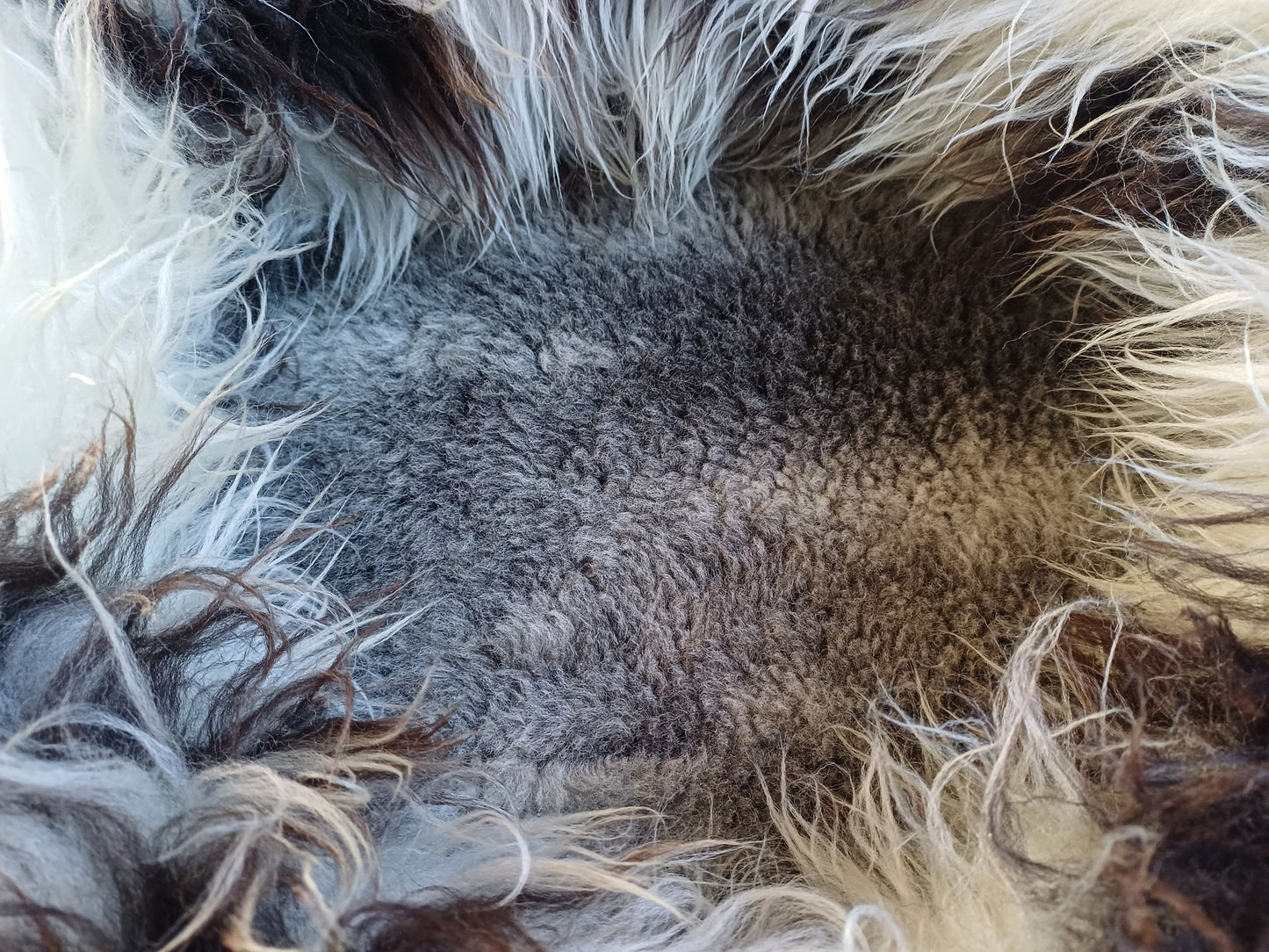 Schapenvachtmand 50cm