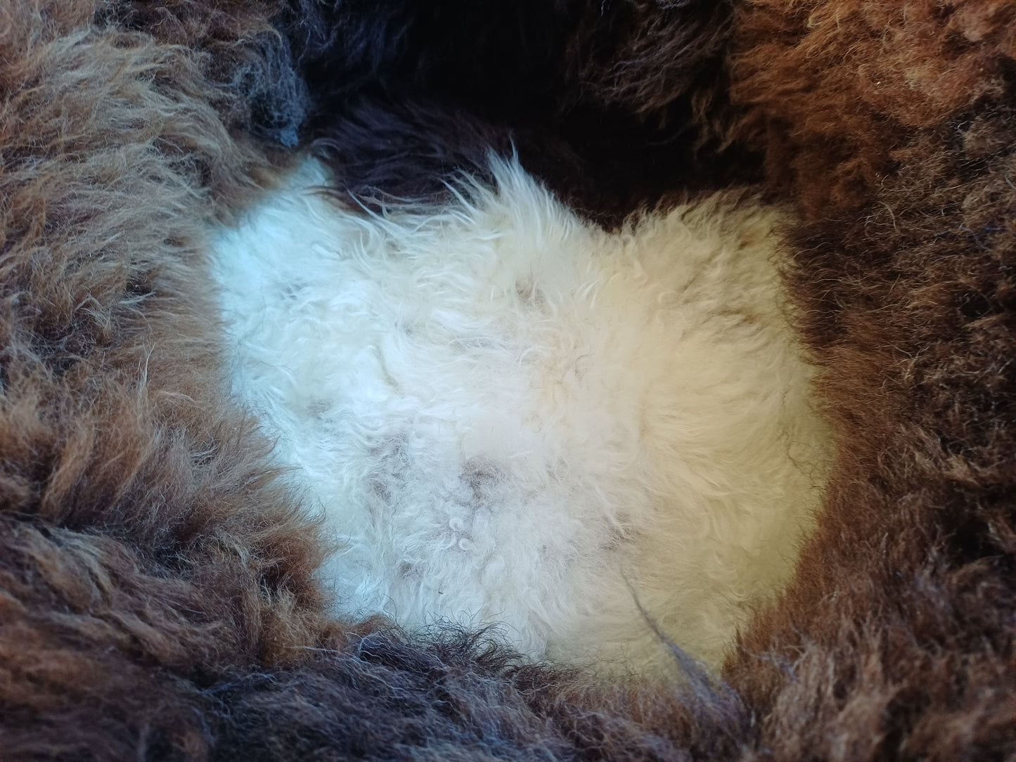 Schapenvachtmand 50cm