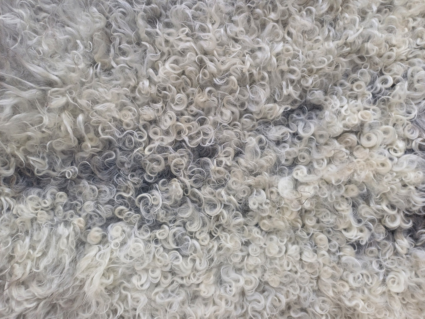 Gotland schapenvacht L