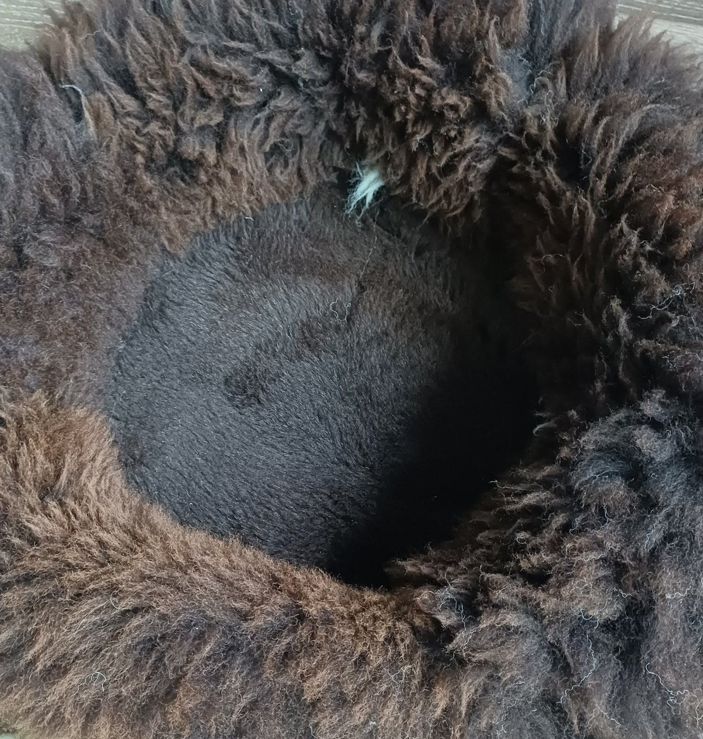 Schapenvachtmand 50cm