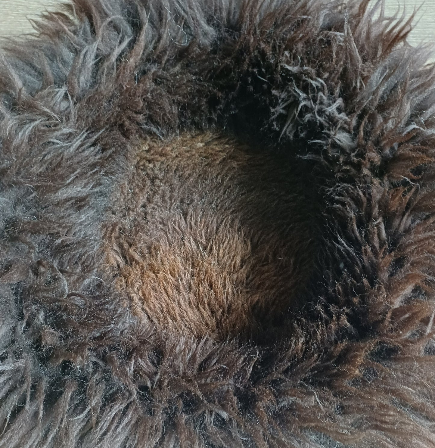 Schapenvachtmand 50cm