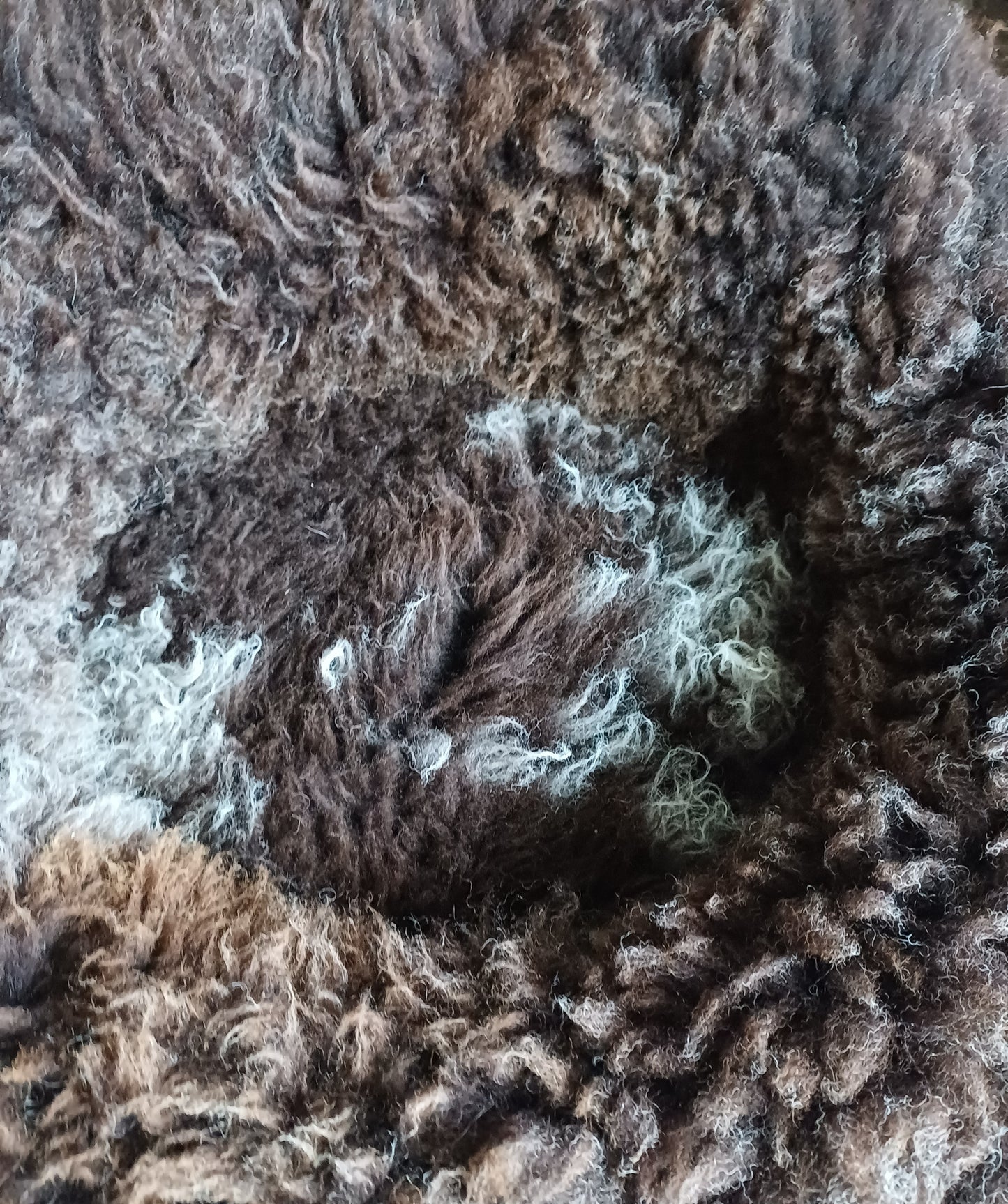 Schapenvachtmand 50cm