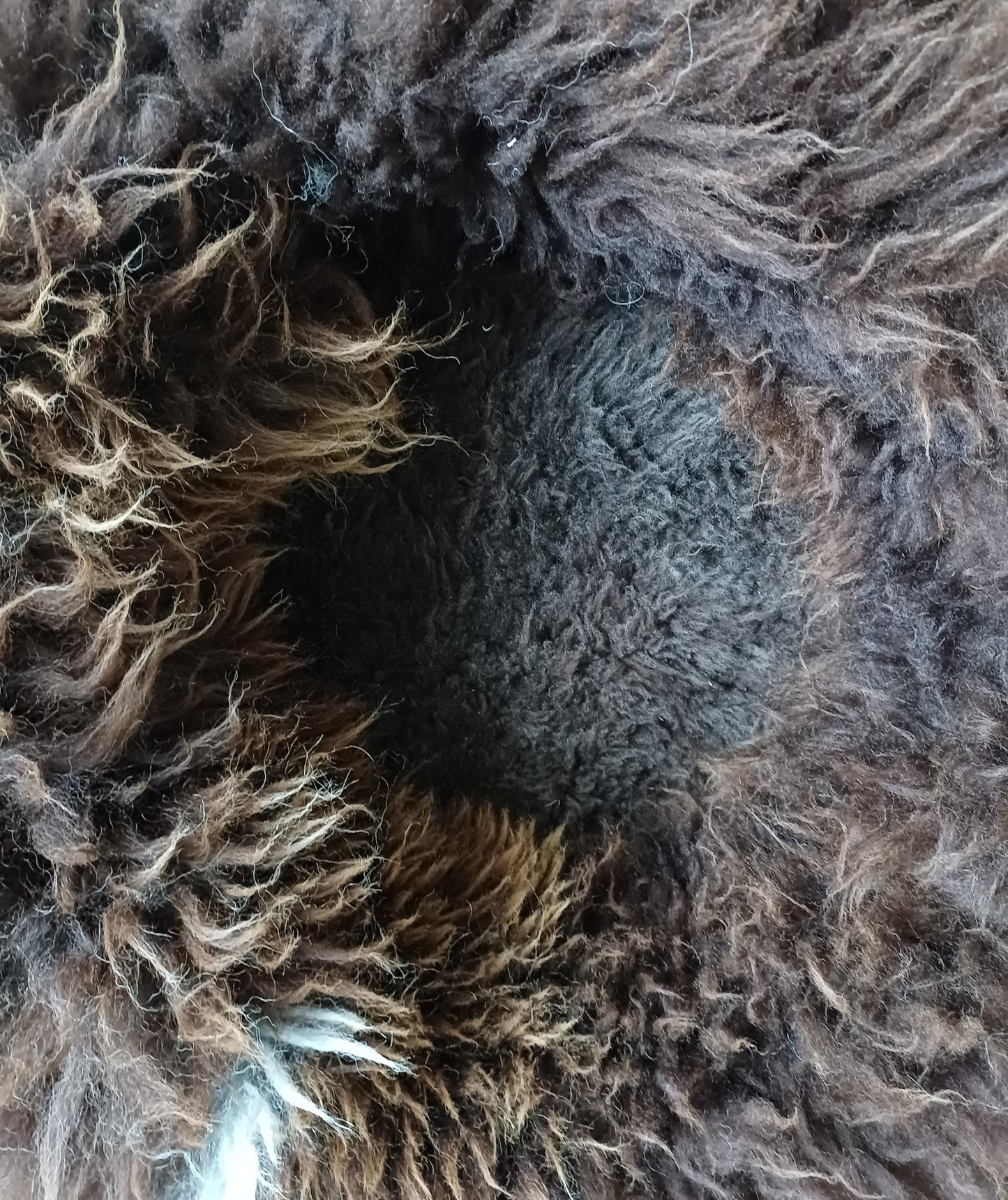 Schapenvachtmand 50cm