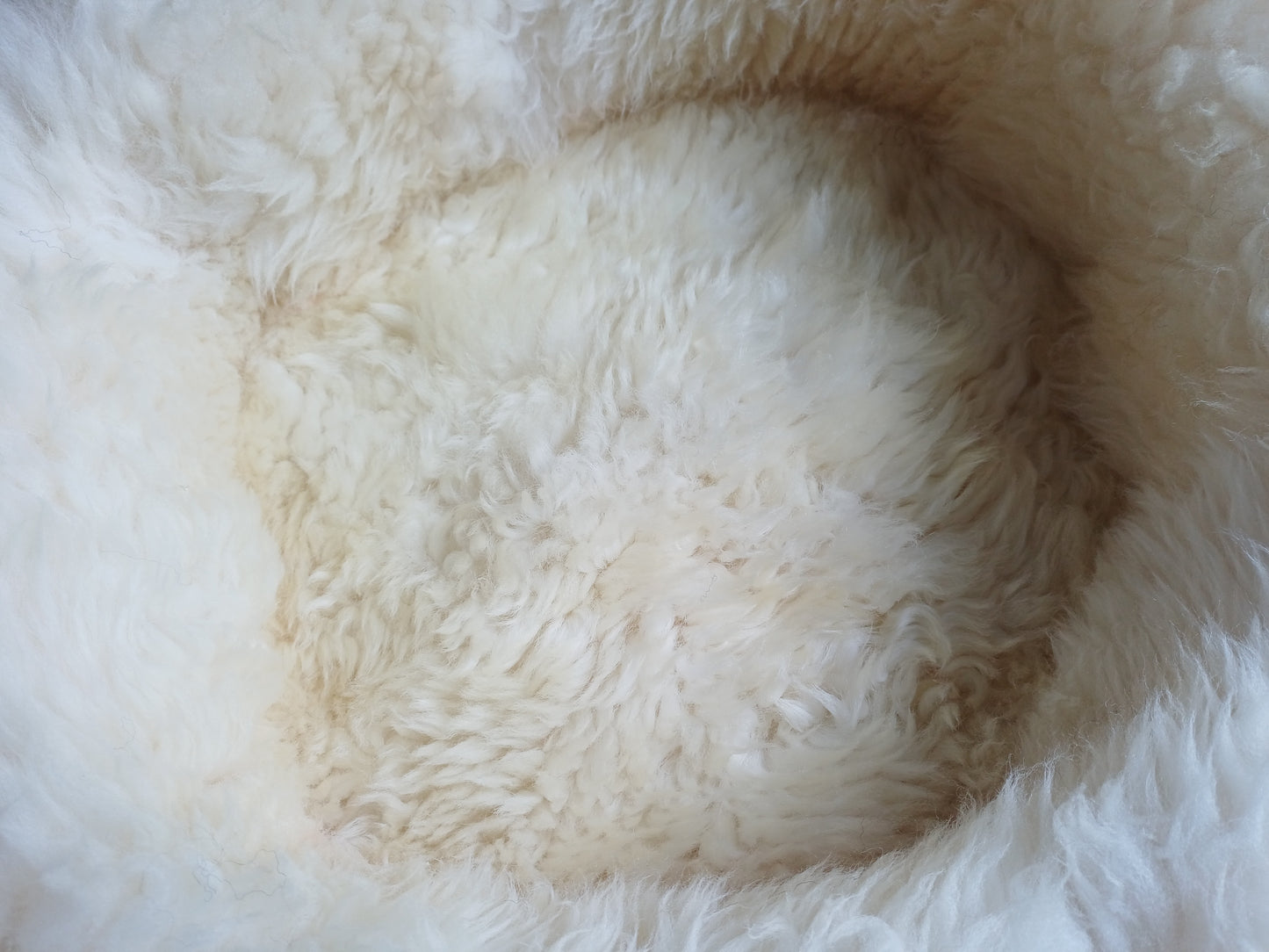 Schapenvachtmand 50cm
