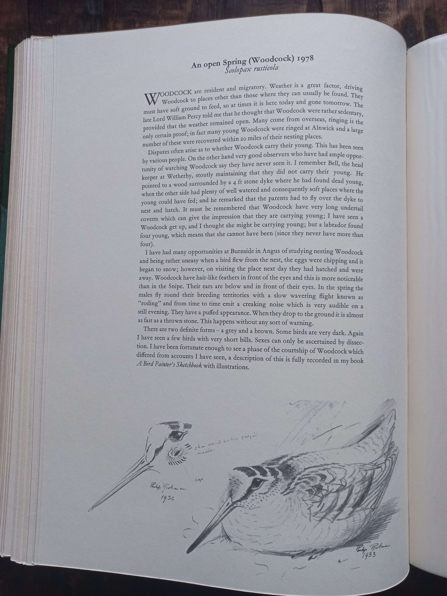 A Selection of Bird Paintings and Sketches, Philip Rickman, 1979.