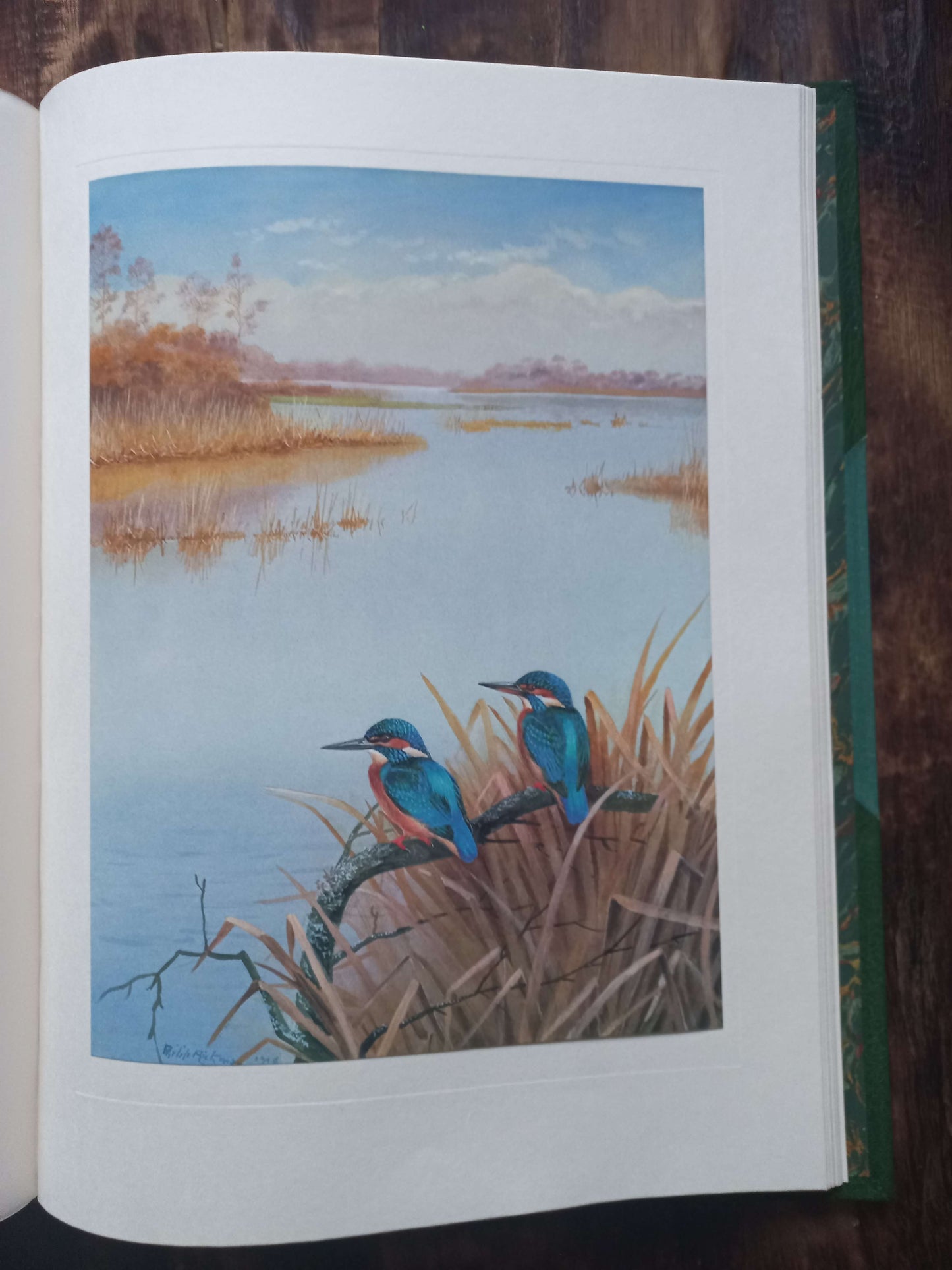 A Selection of Bird Paintings and Sketches, Philip Rickman, 1979.