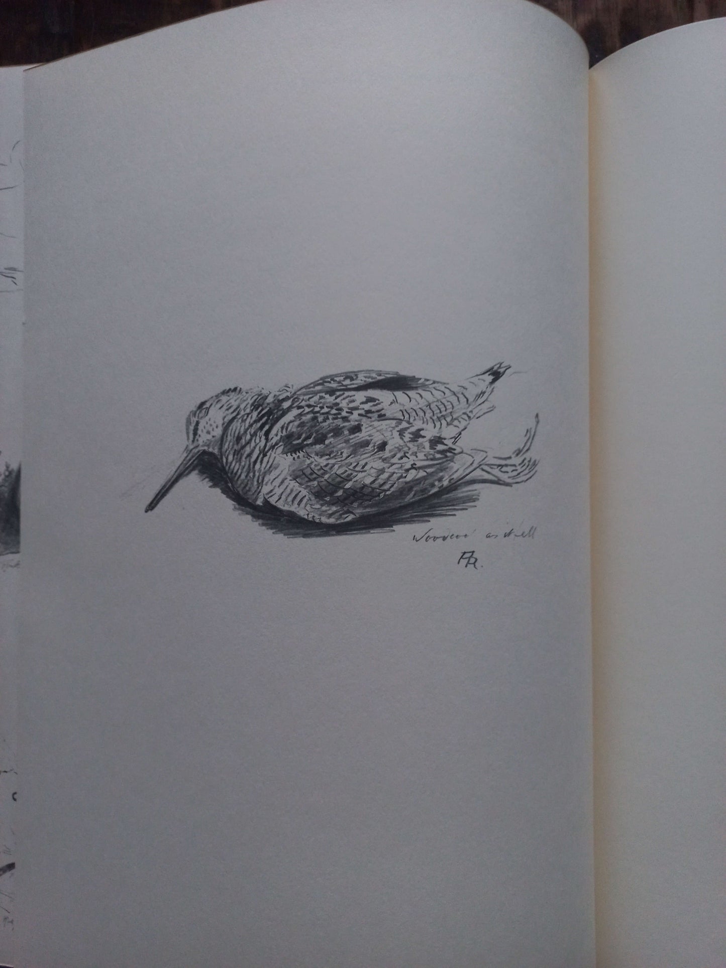 A Selection of Bird Paintings and Sketches, Philip Rickman, 1979.