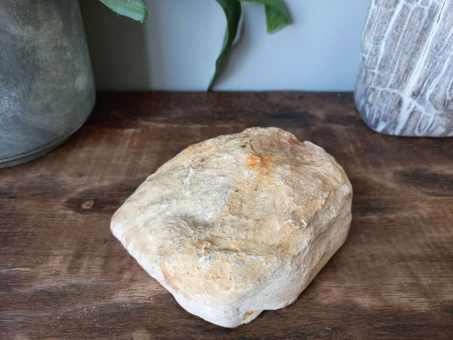Versteend hout uit Madagaskar
