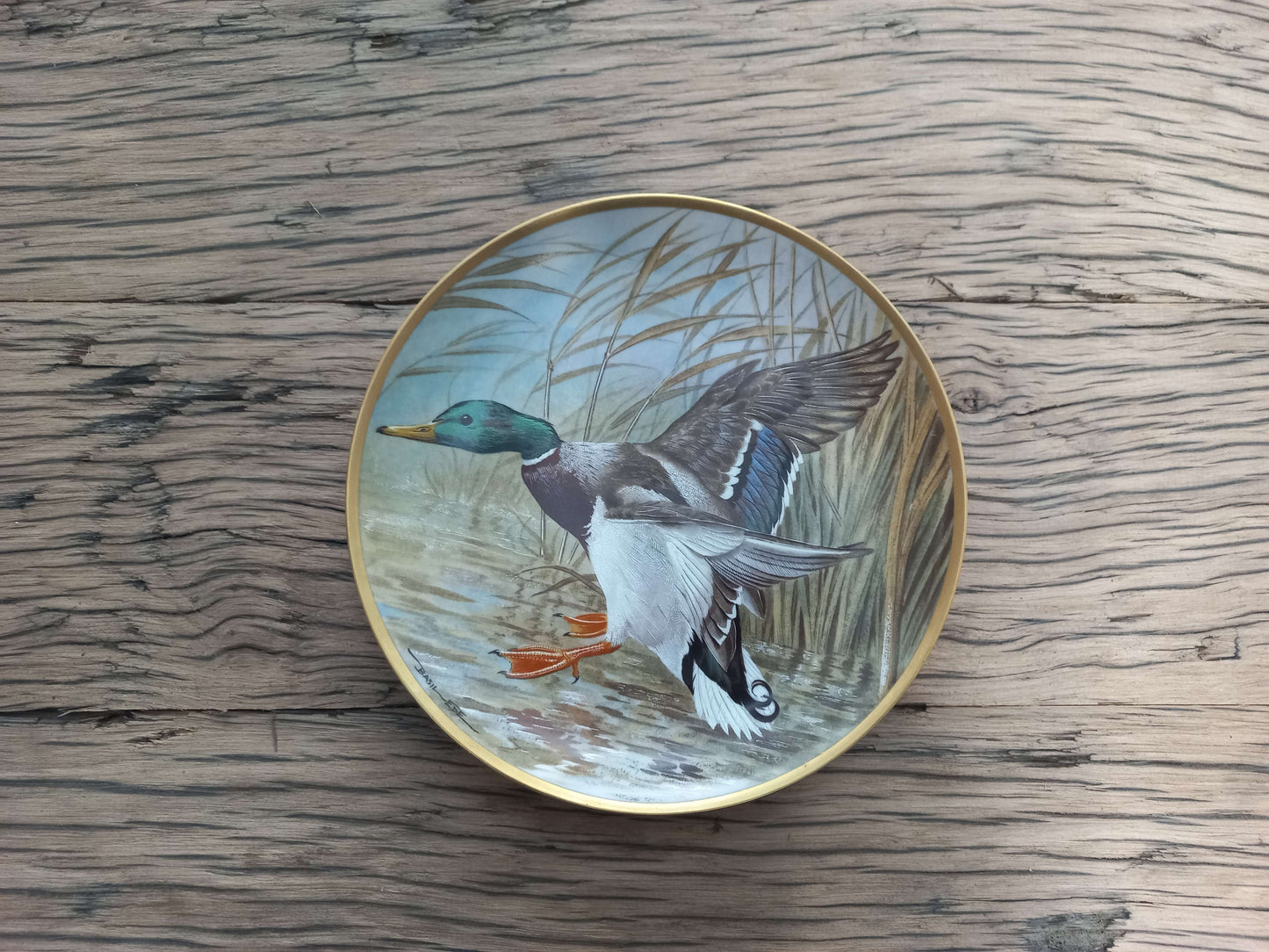 Waterbirds of the World - Franklin Porcelain, complete set