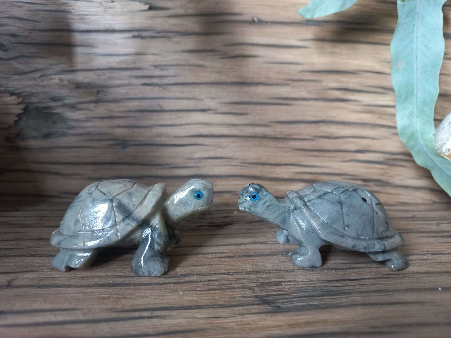 Speksteen schildpadjes