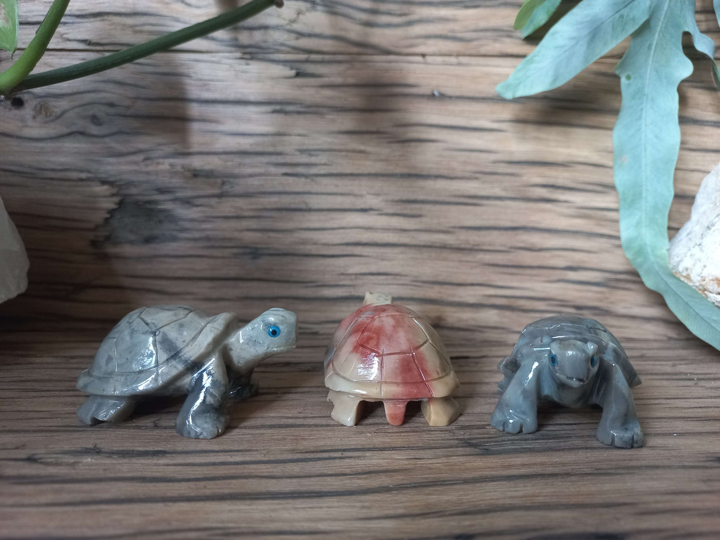 Speksteen schildpadjes