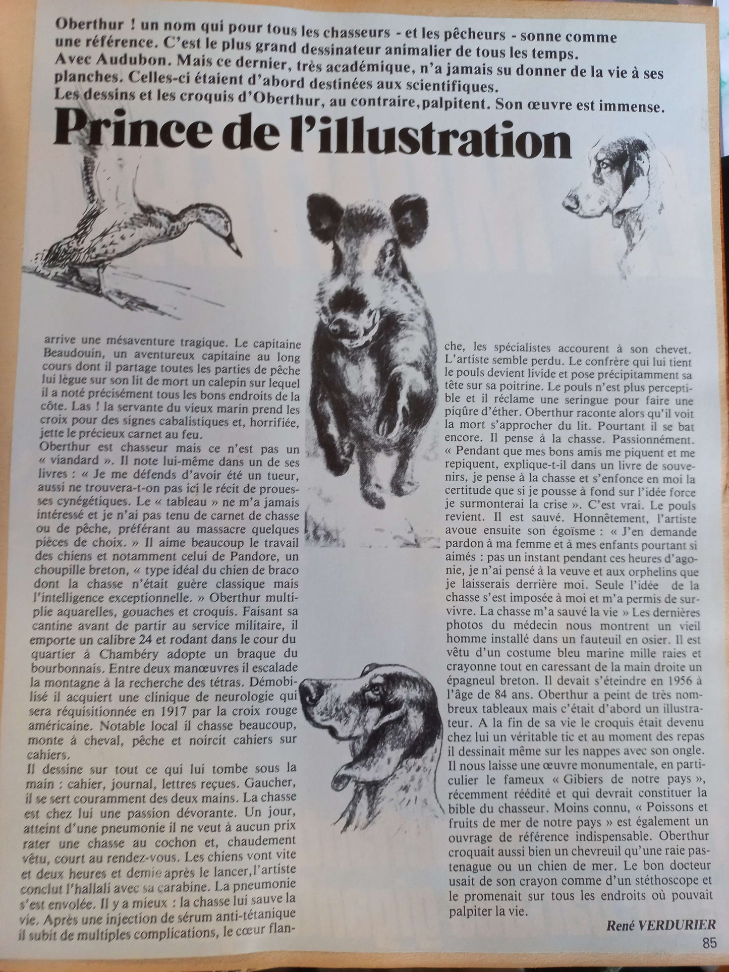 Animaux de Vénerie et Chasse aux Chiens Courants - Joseph Obertur