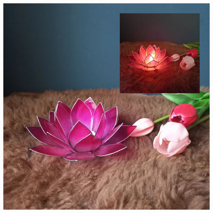 Lotus waxinelichtjes