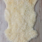 Walliser Schwarznase XL