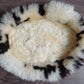 Schapenvachtmand 75cm