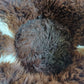 Schapenvachtmand 50cm