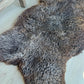 Hollandse vacht XL