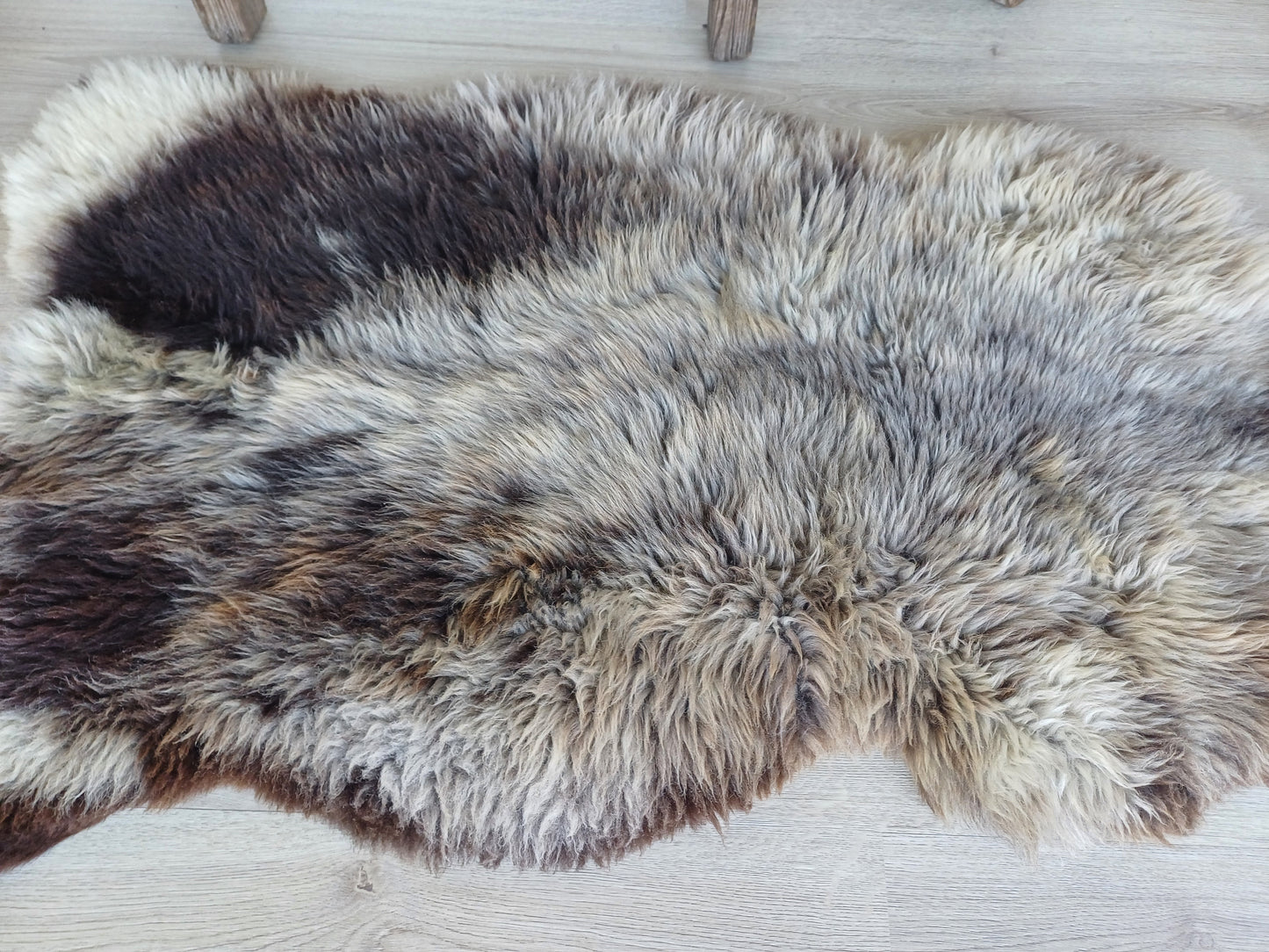 Hollandse vacht XL