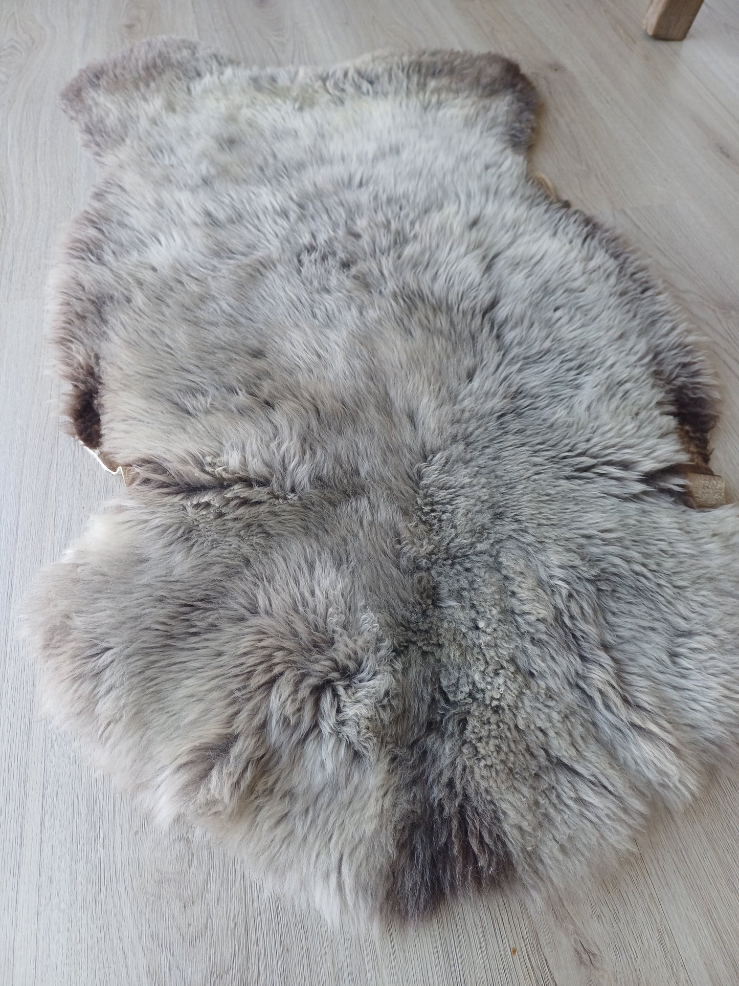 Hollandse vacht XL