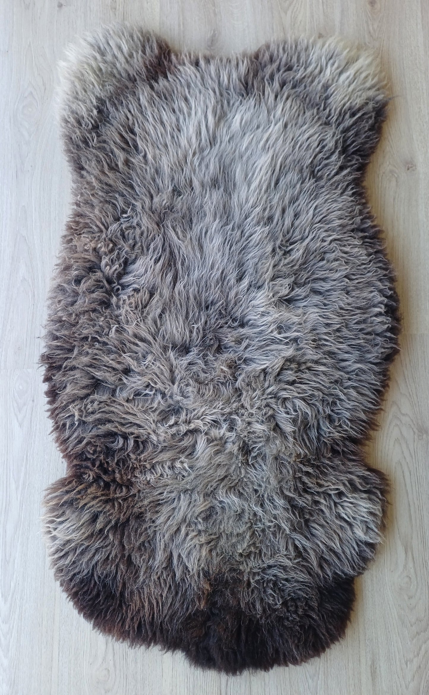 Hollandse vacht XL