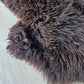 Hollandse vacht XL
