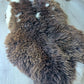 Hollandse vacht XL