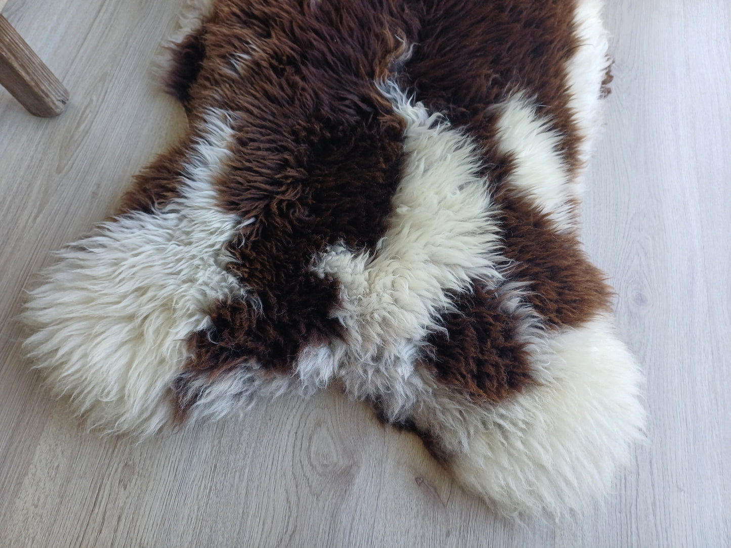Hollandse vacht XL